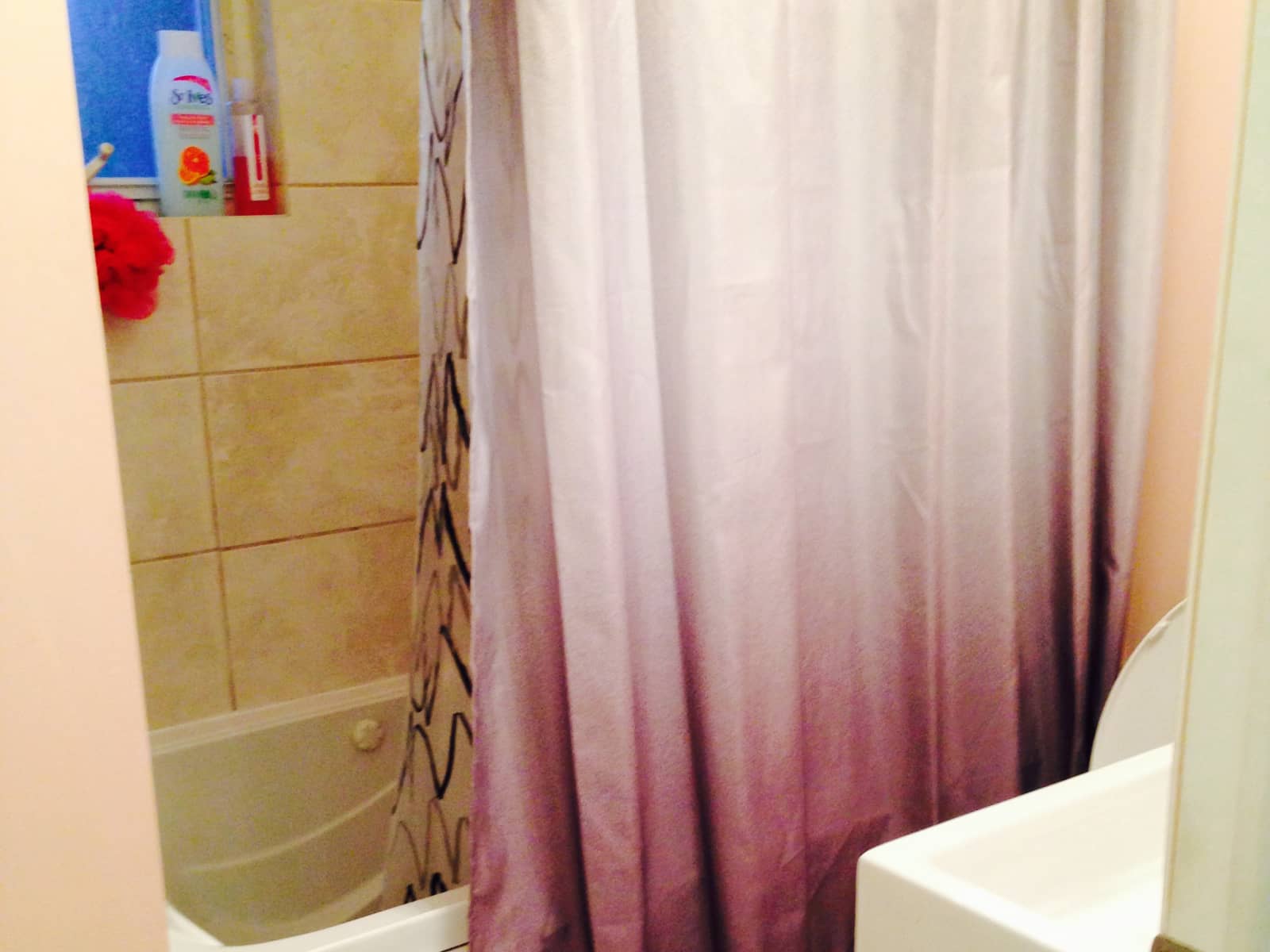 Housesitting assignment in Mississauga, Ontario, Canada