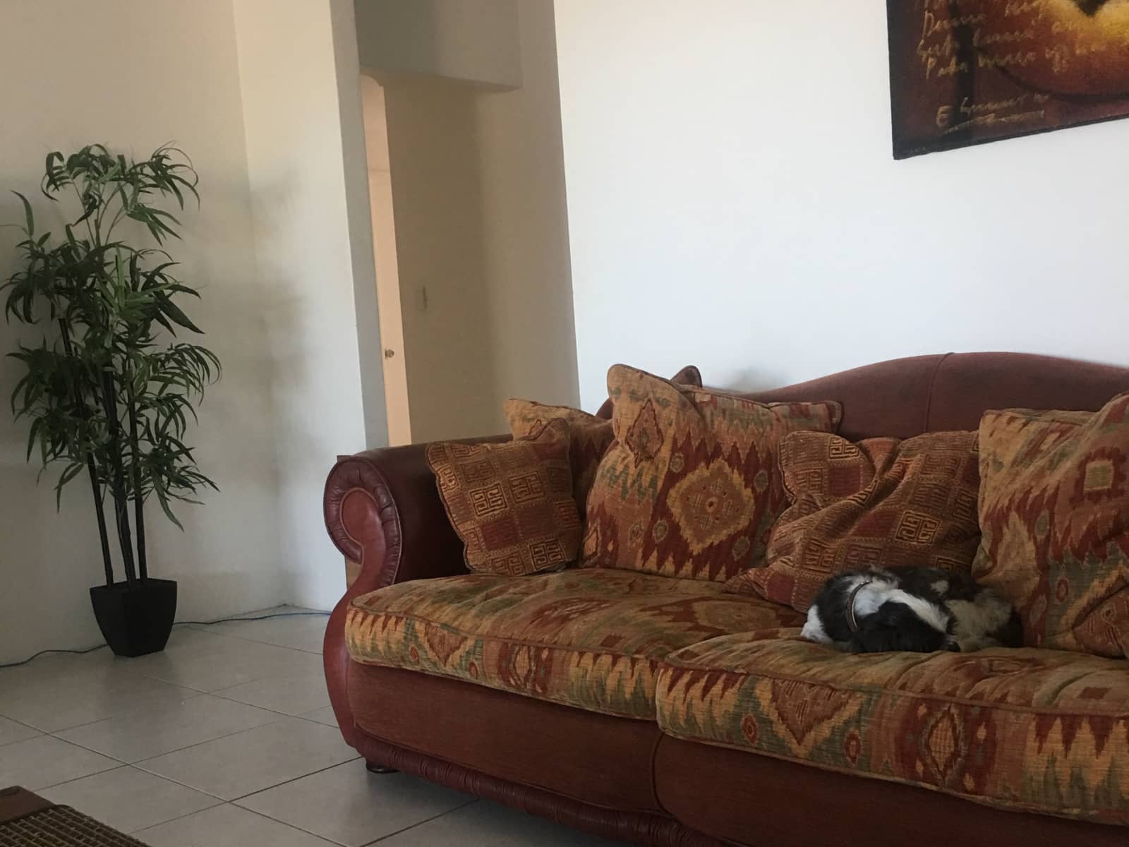 Housesitting assignment in Perth, Western Australia, Australia