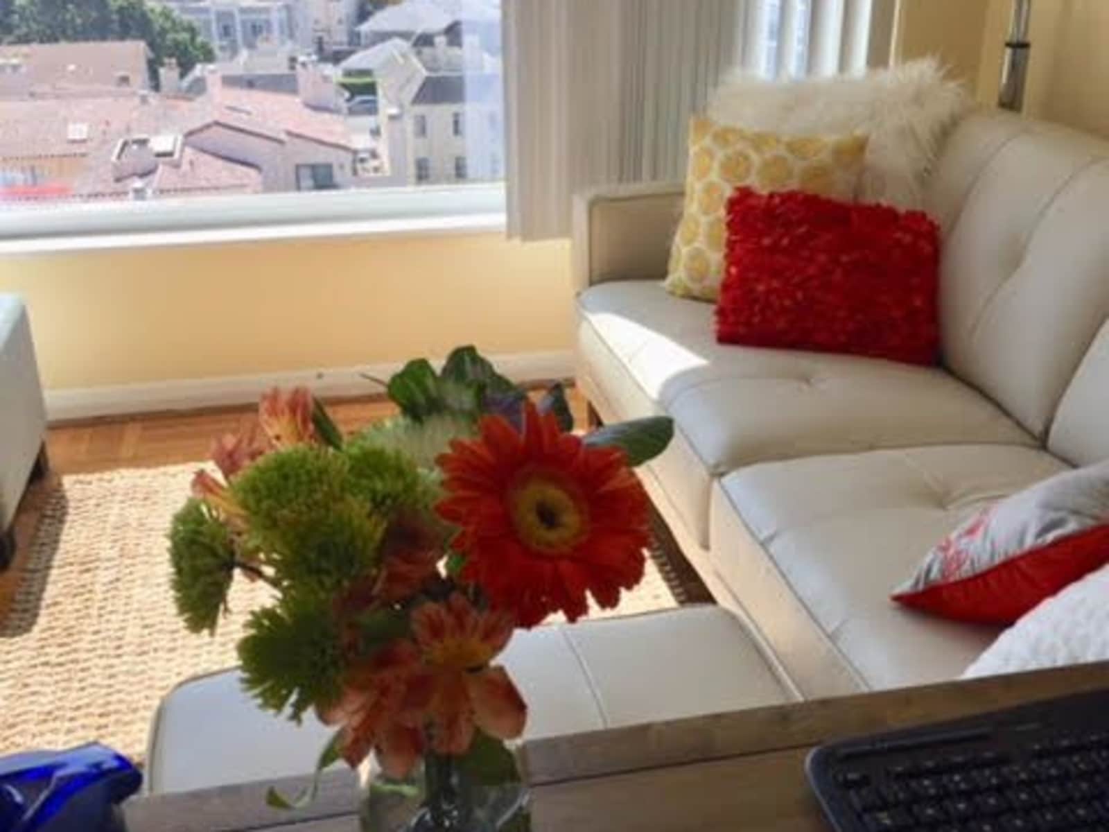 Housesitting assignment in San Mateo, California, United States
