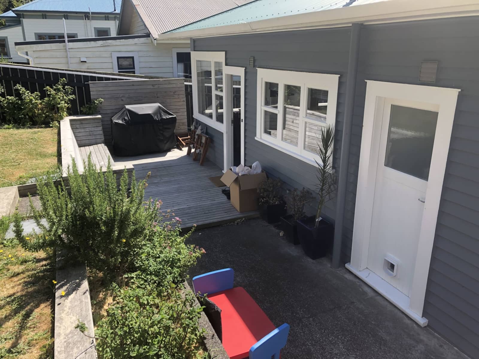 Housesitting assignment in Wellington, New Zealand