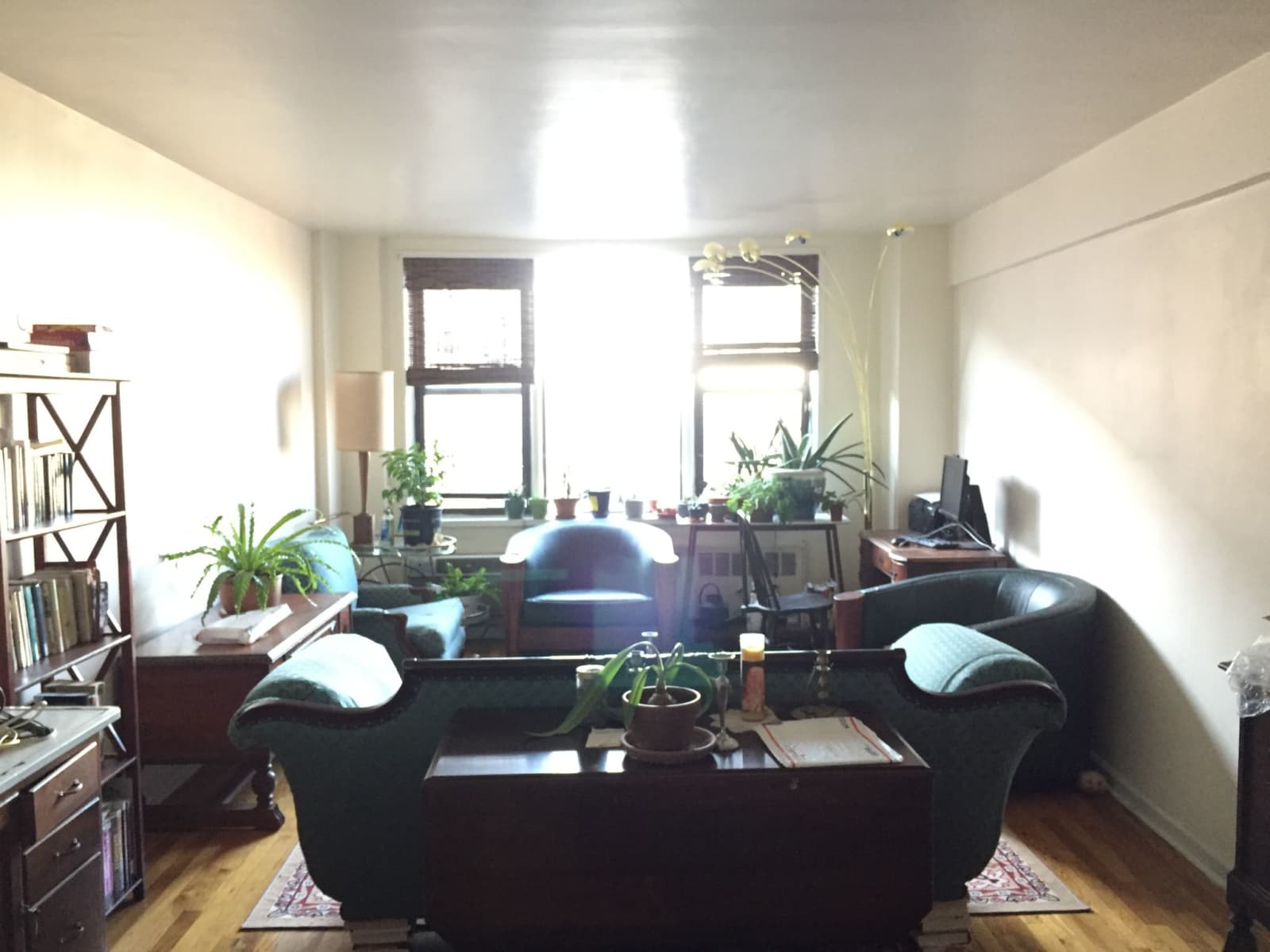 Housesitting assignment in Brooklyn, New York, United States