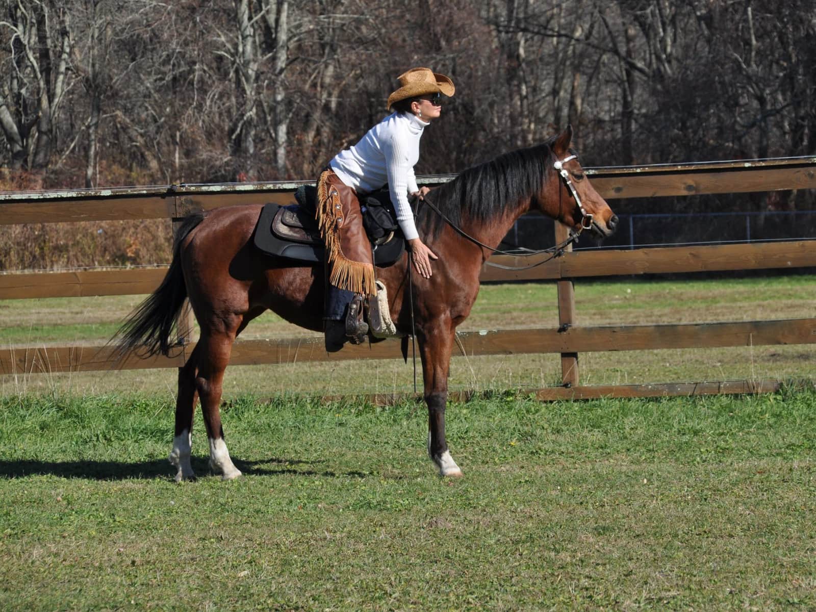 Lisa from Acushnet, Massachusetts, United States
