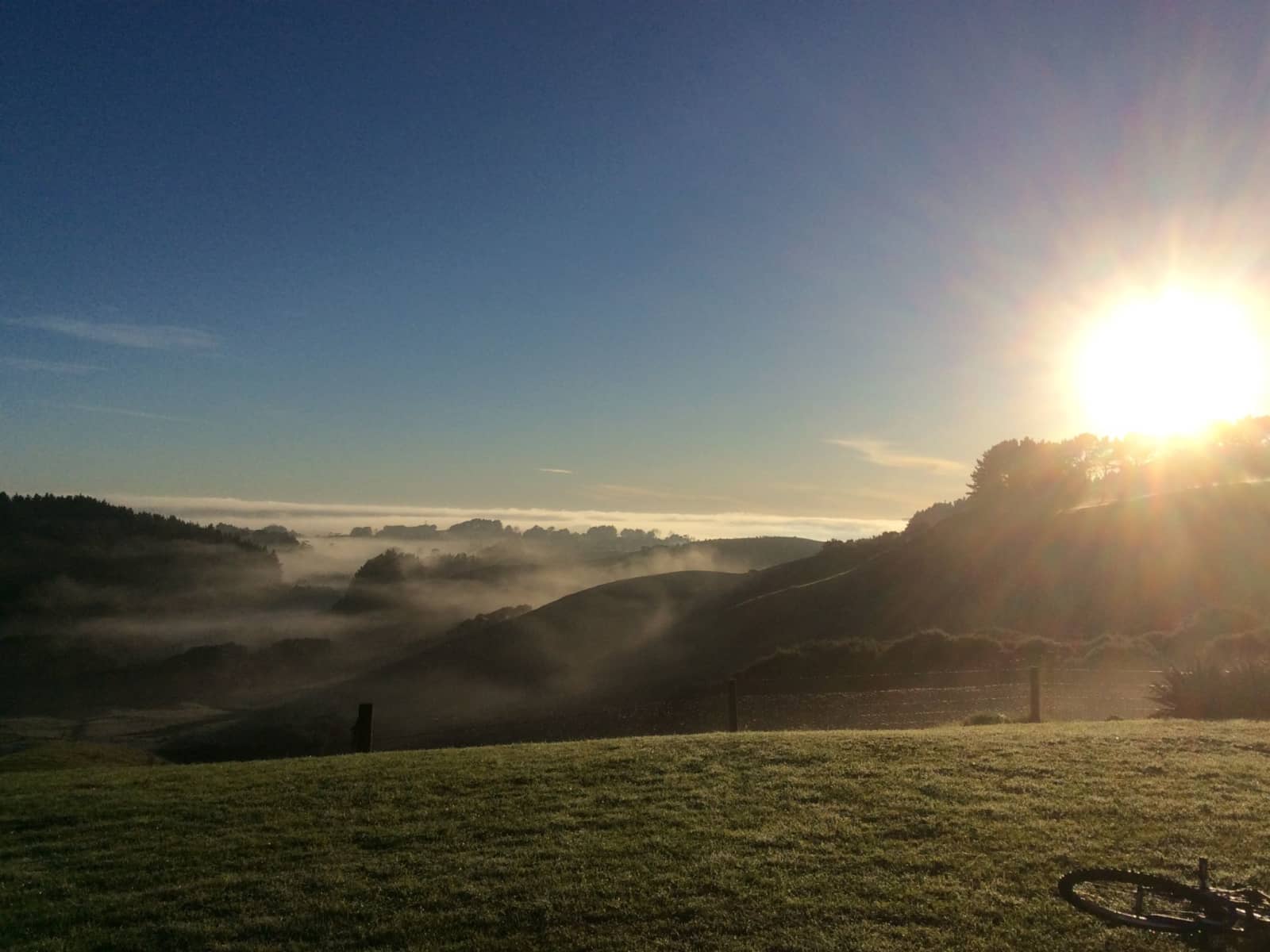 Sarah from Helensville, New Zealand