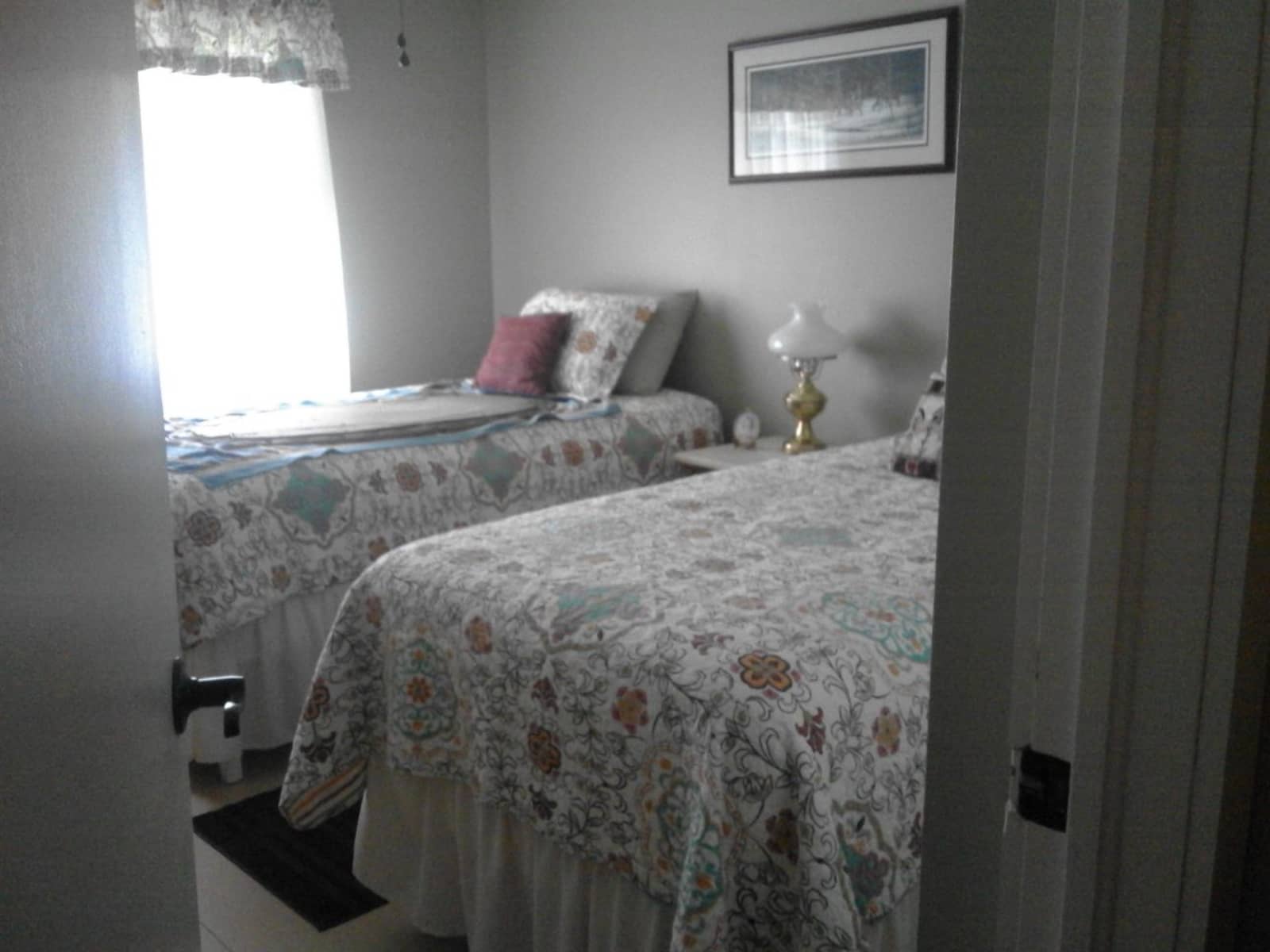 Housesitting assignment in Vestal, New York, United States
