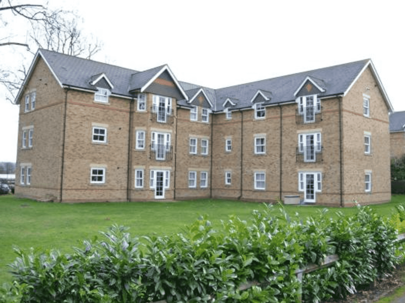 Housesitting assignment in Epsom, United Kingdom