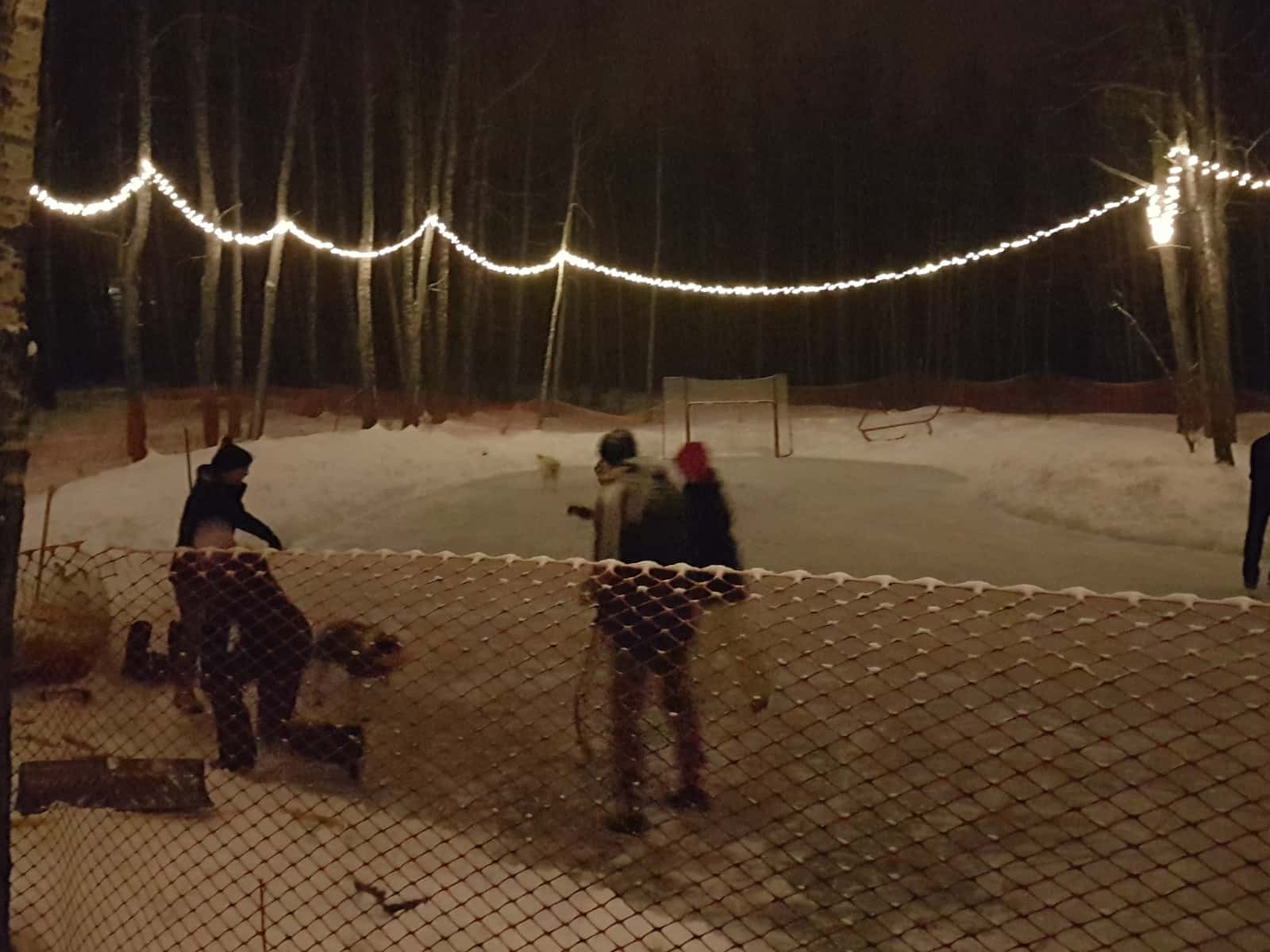 Housesitting assignment in Calgary, Alberta, Canada