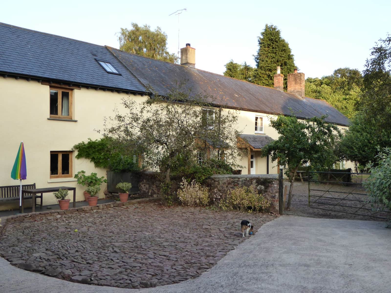 Housesitting assignment in Crediton, United Kingdom