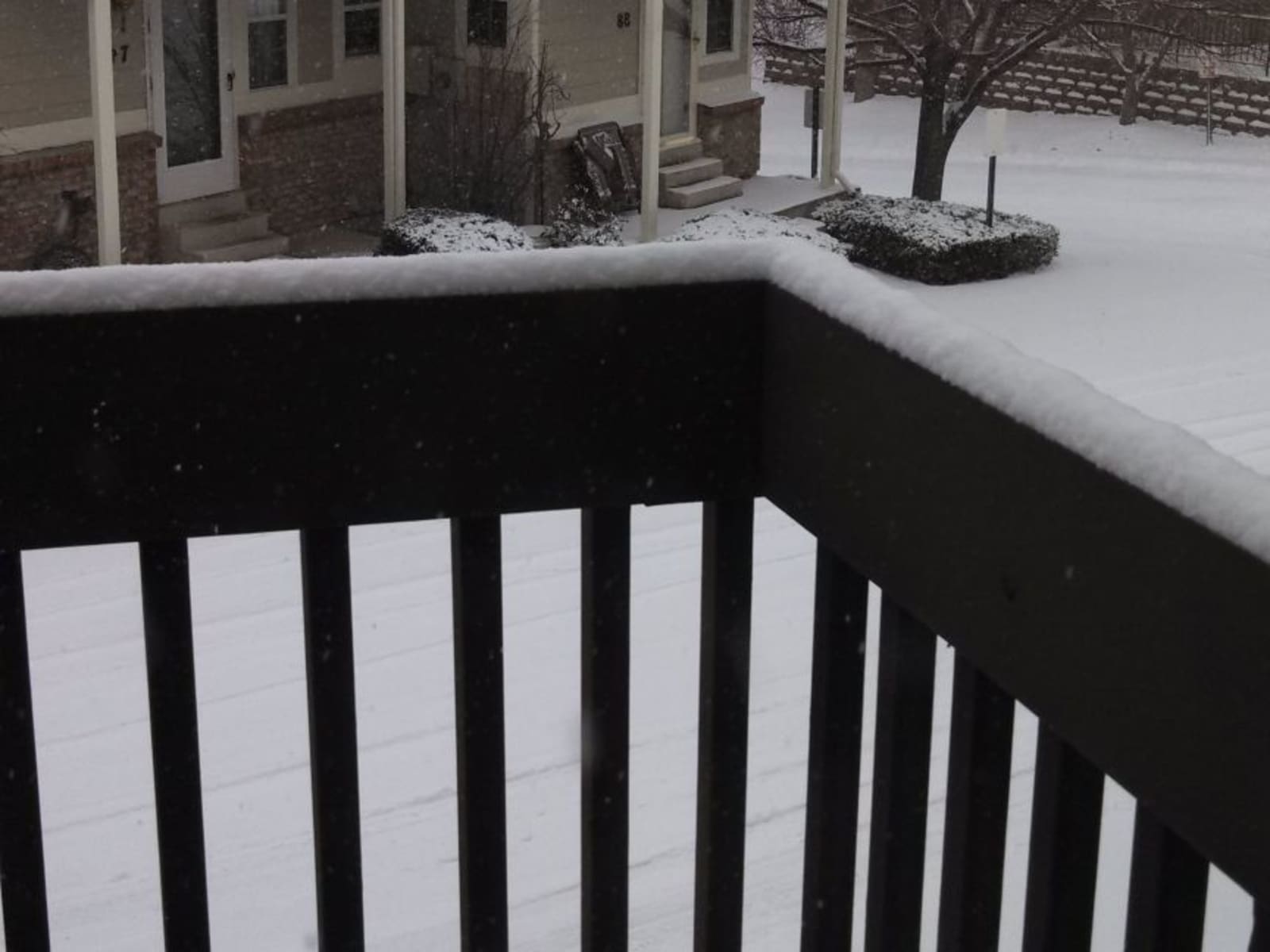 Housesitting assignment in Denver, Colorado, United States