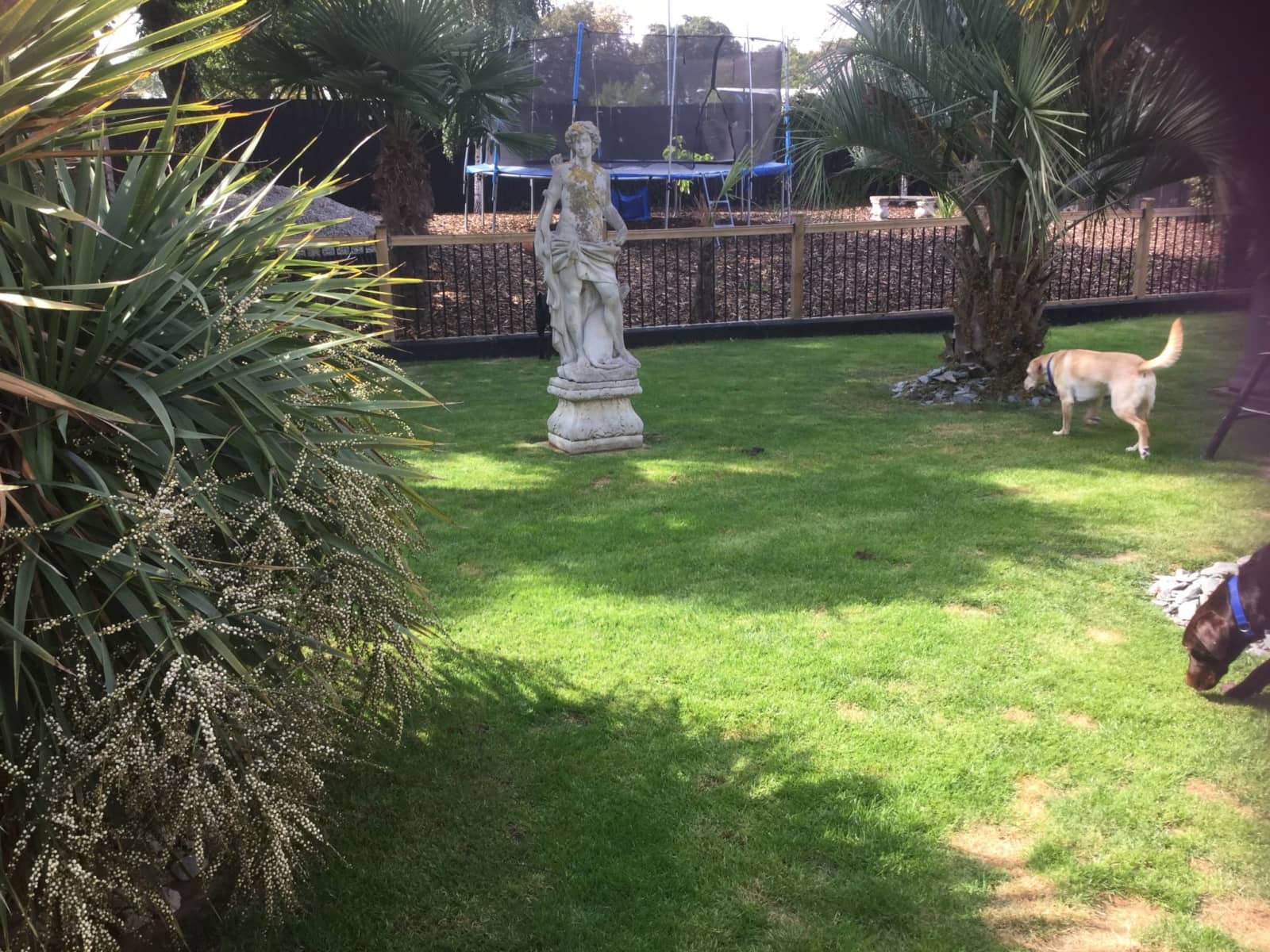 Housesitting assignment in Bexley, United Kingdom