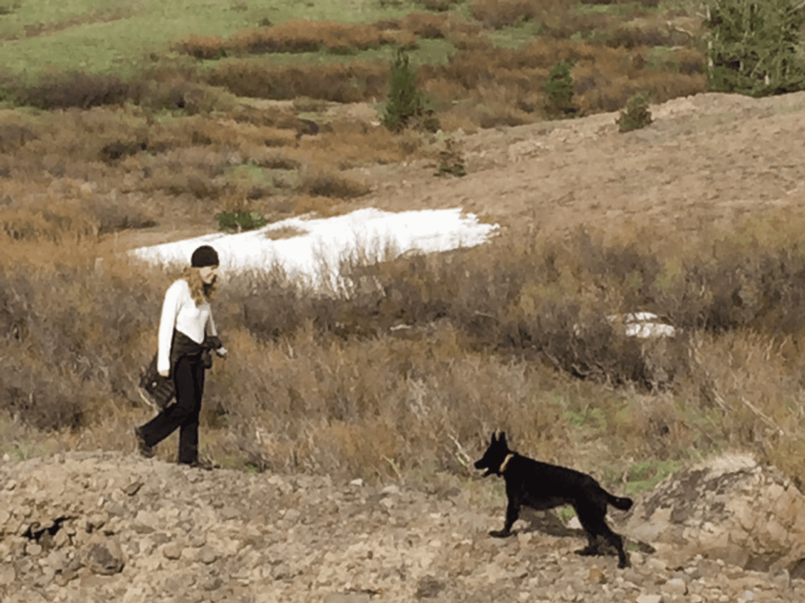 Jennifer from Reno, Nevada, United States