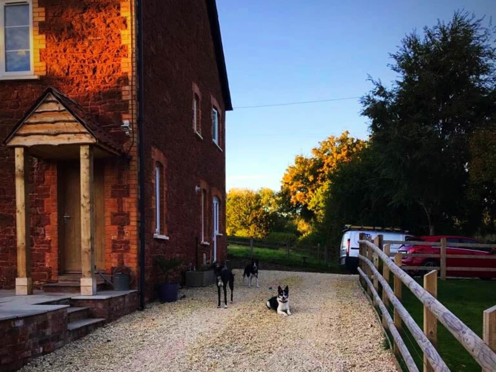 Housesitting assignment in Bishops Lydeard, United Kingdom