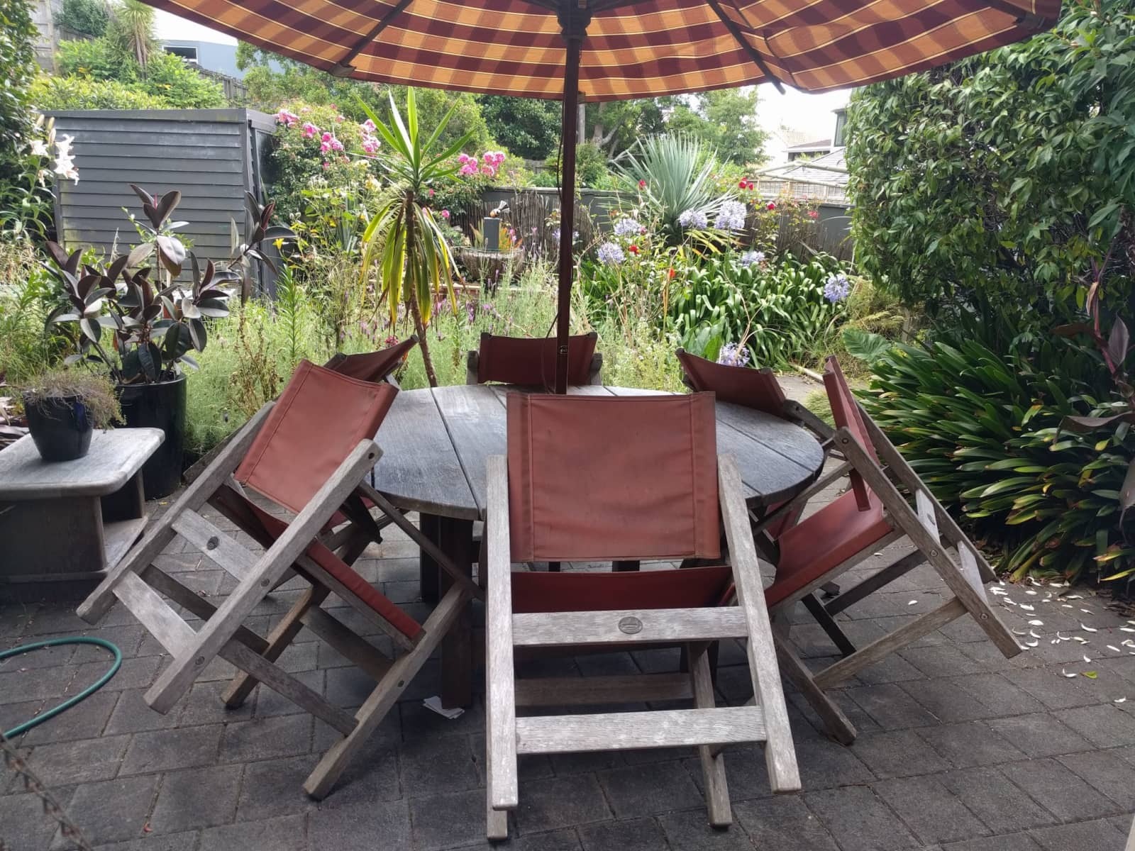 Housesitting assignment in Mission Bay, New Zealand