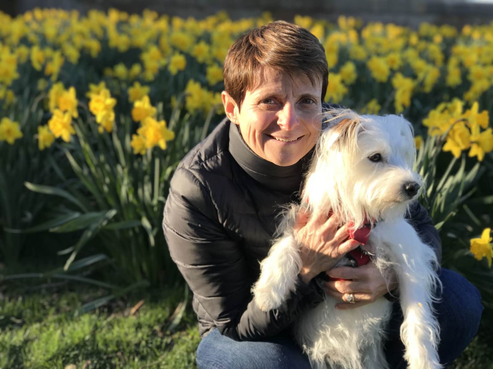 Housesitting assignment in Marblehead, Massachusetts, United States