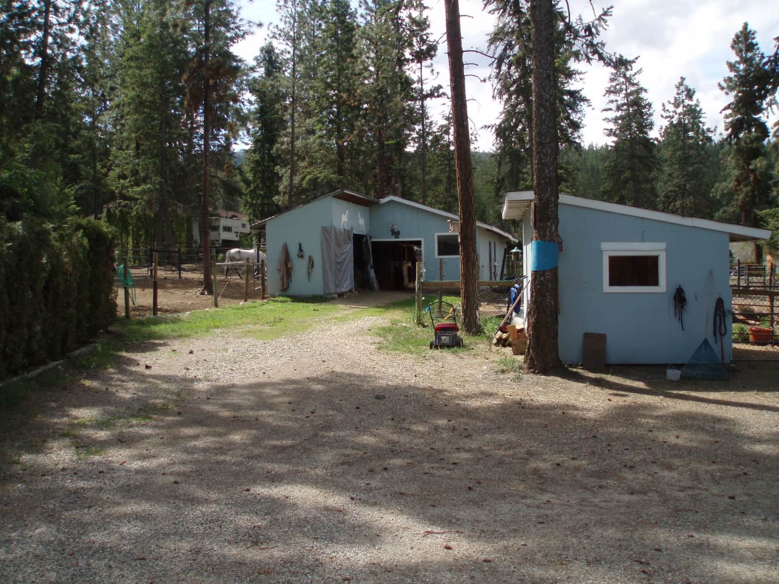 Housesitting assignment in Kelowna, British Columbia, Canada