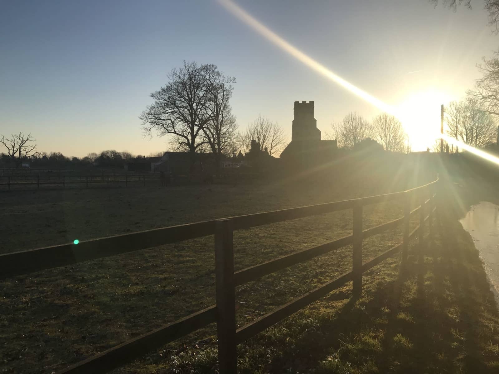 Housesitting assignment in Newmarket, United Kingdom