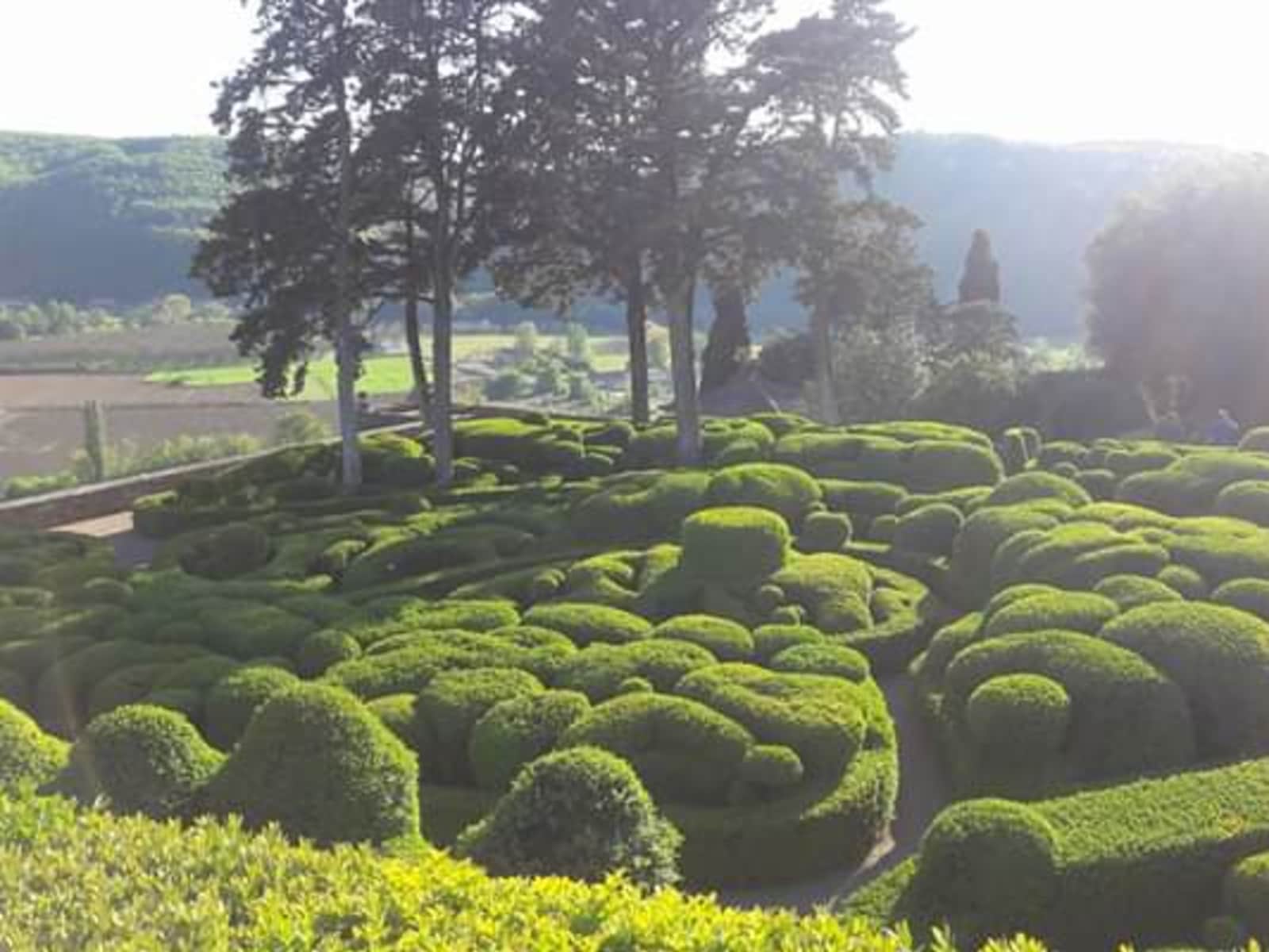 Housesitting assignment in Sarlat-la-Canéda, France