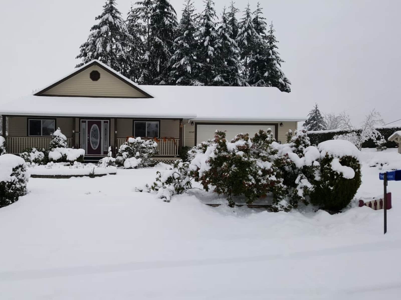 Housesitting assignment in Duncan, British Columbia, Canada