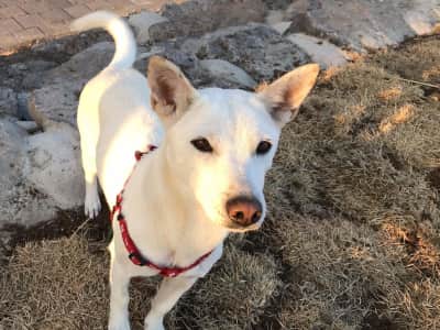 Vacation in Jeju, South Korea!