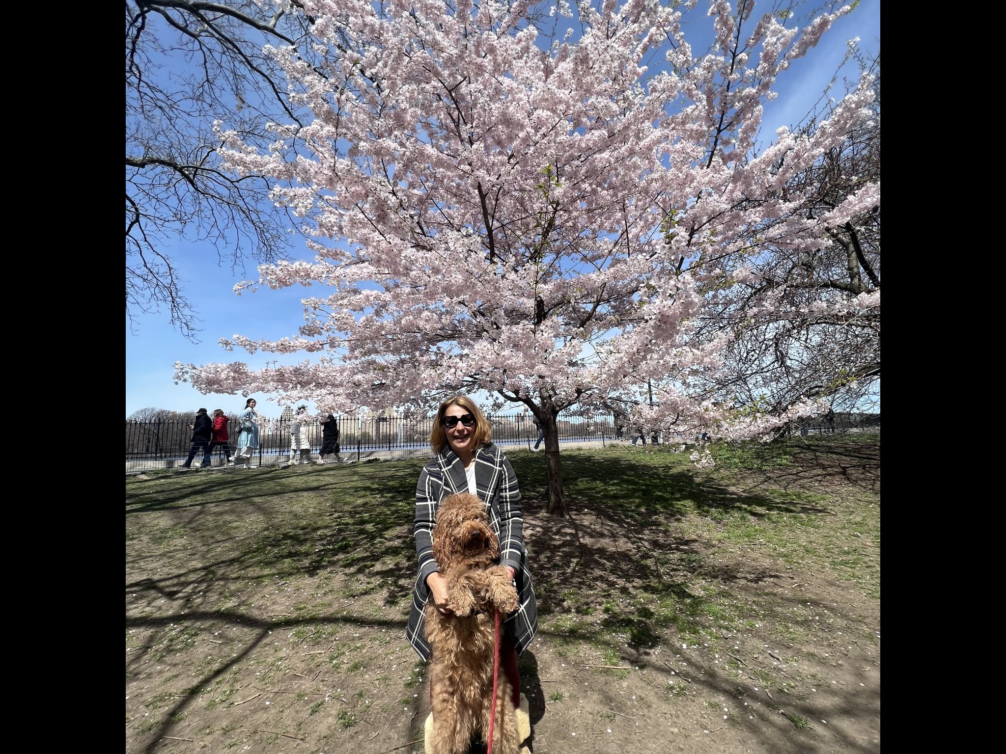 User