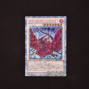 ブラック・ローズ・ドラゴン 20thシークレットレア販売中! | 遊戯王 ブラック・ローズ・ドラゴン 20thシークレットレア販売中! | 遊戯王