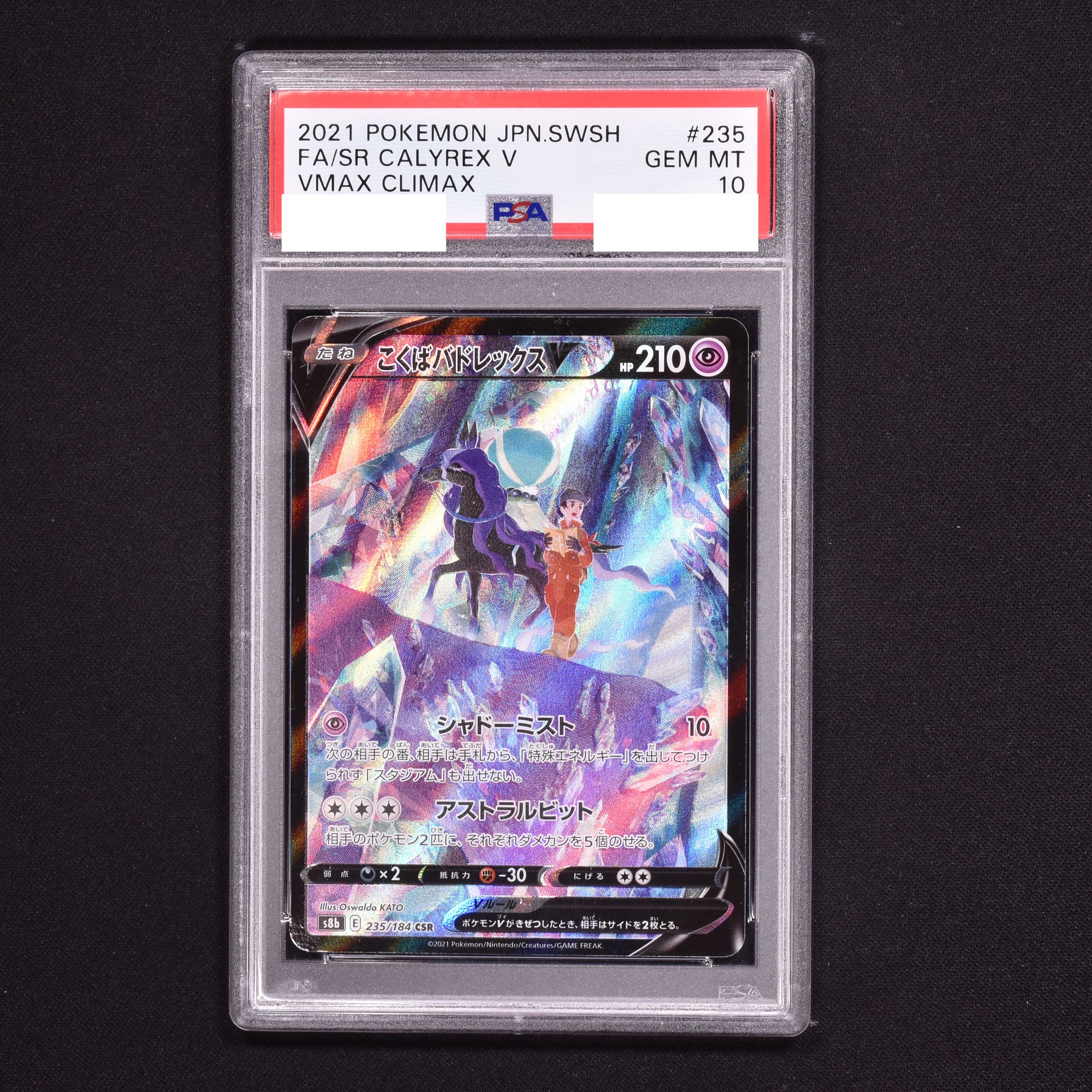 こくばバドレックス CSR PSA10-