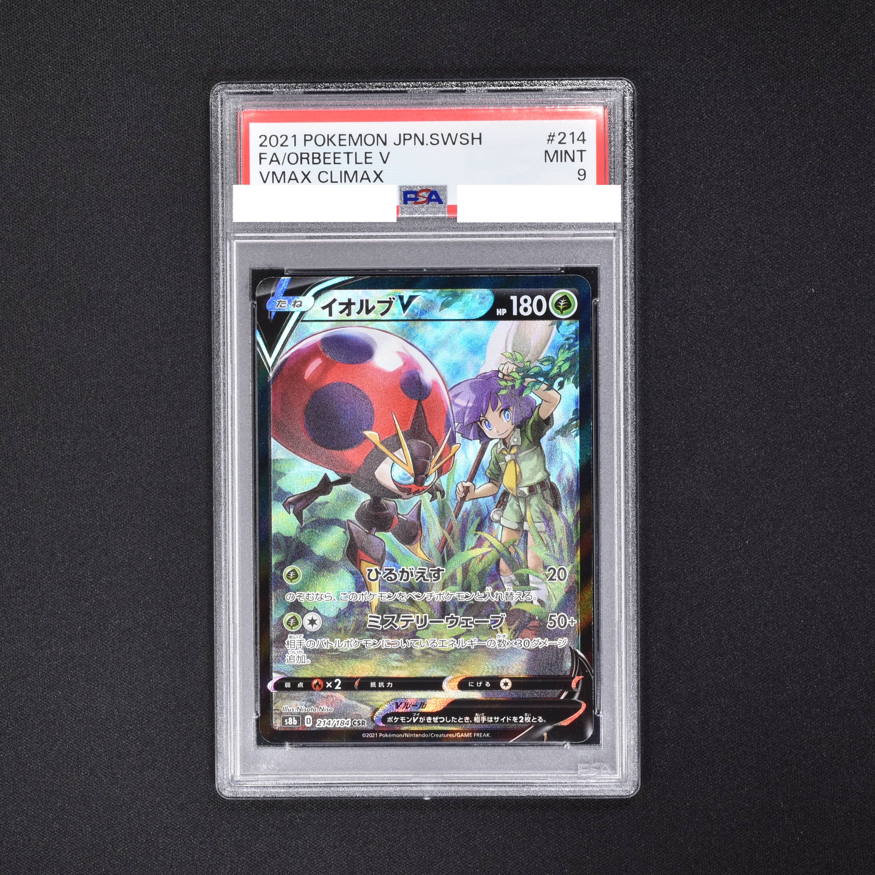 【超格安】イオルブ　V CSR PSA10