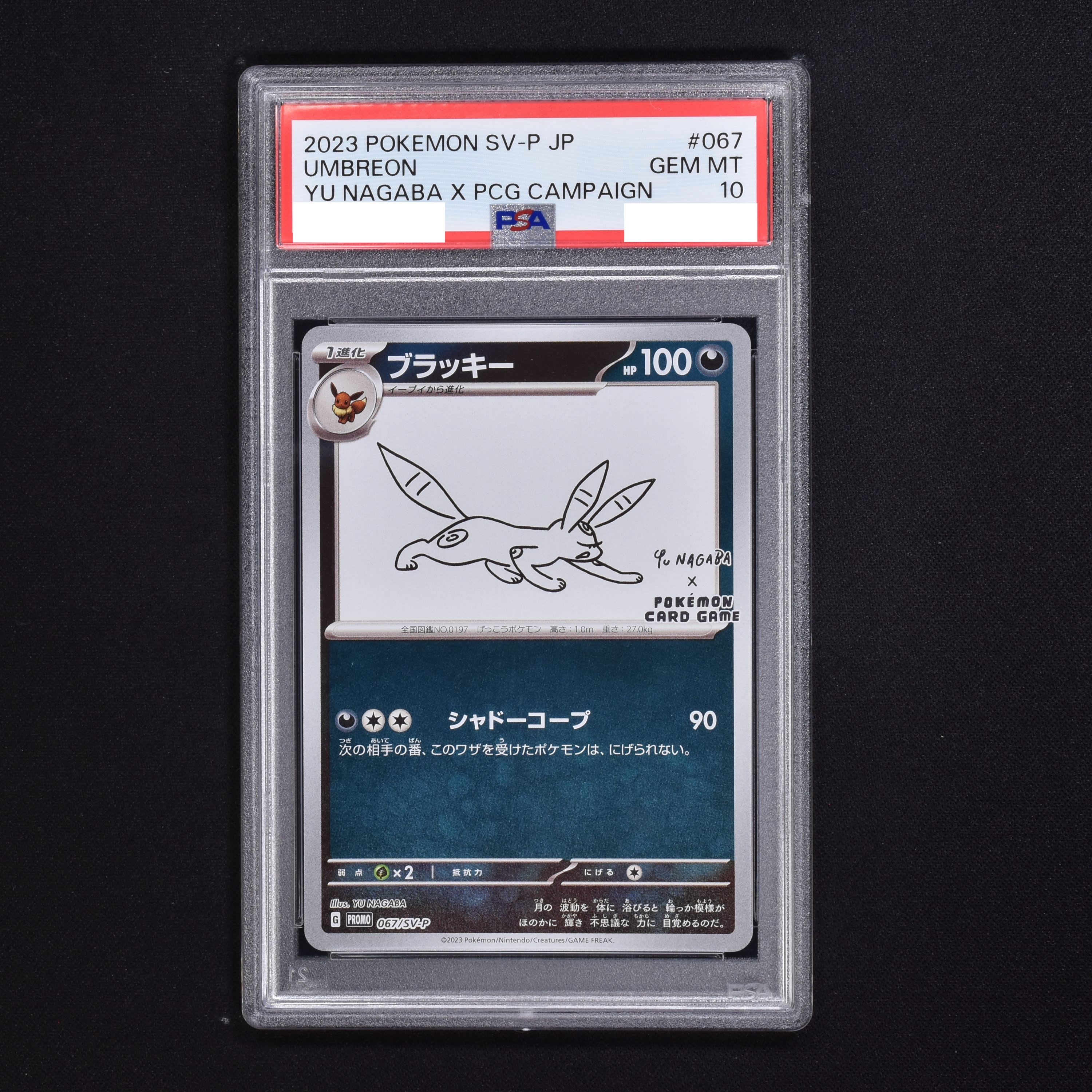 室外 ポケモンカード NAGABA ブラッキー プロモ PSA10 - crumiller.com