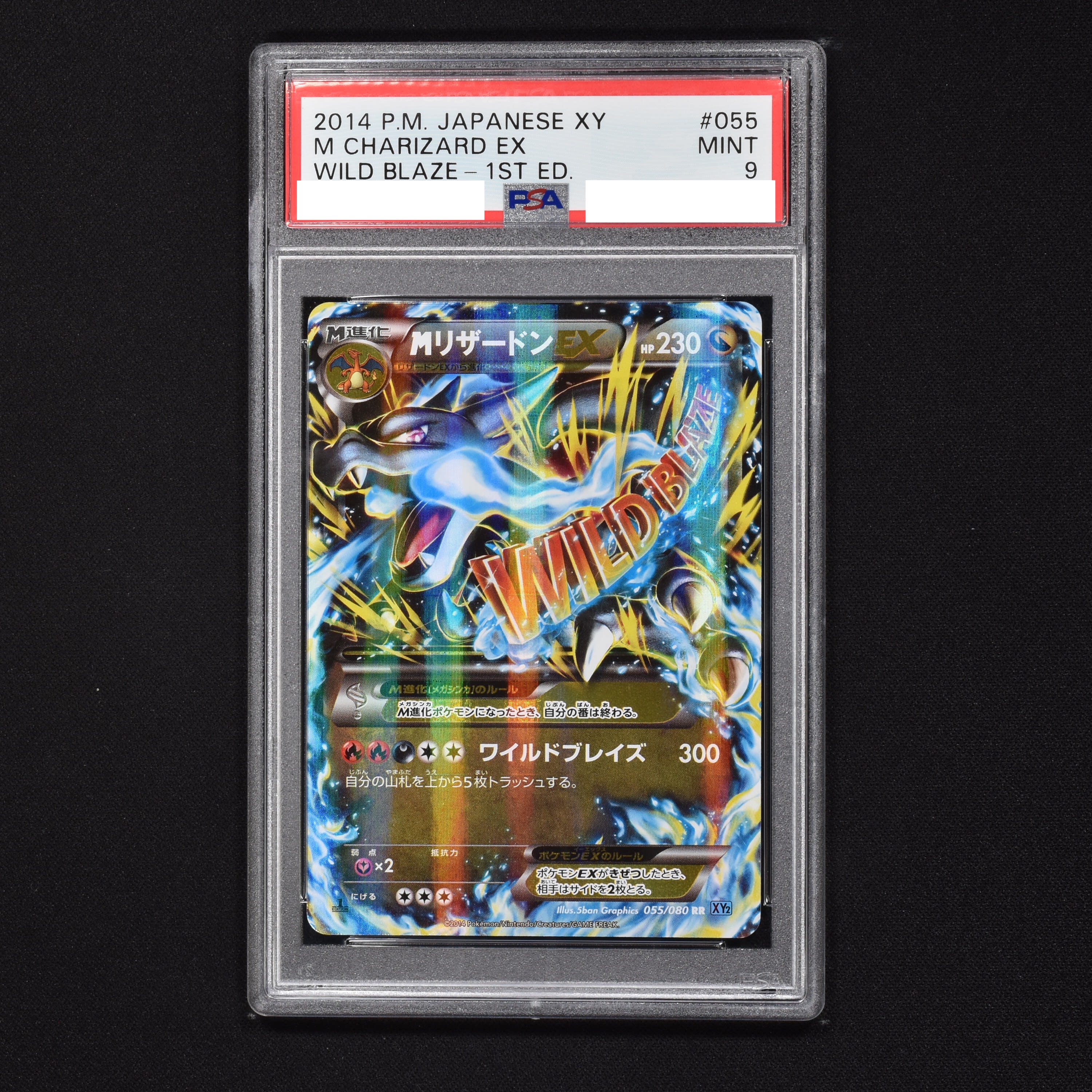 MリザードンEX ワイルドブレイズ　PSA10