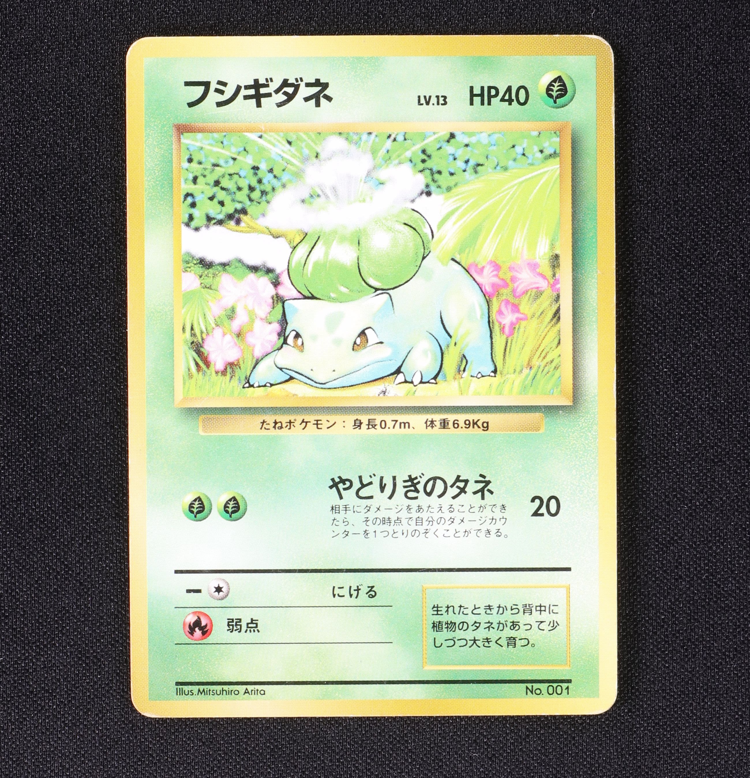 フシギダネ Lv 13 初版 販売中 ポケモンカード通販のclove フシギダネ Lv 13 初版 販売中 ポケモンカード通販のclove