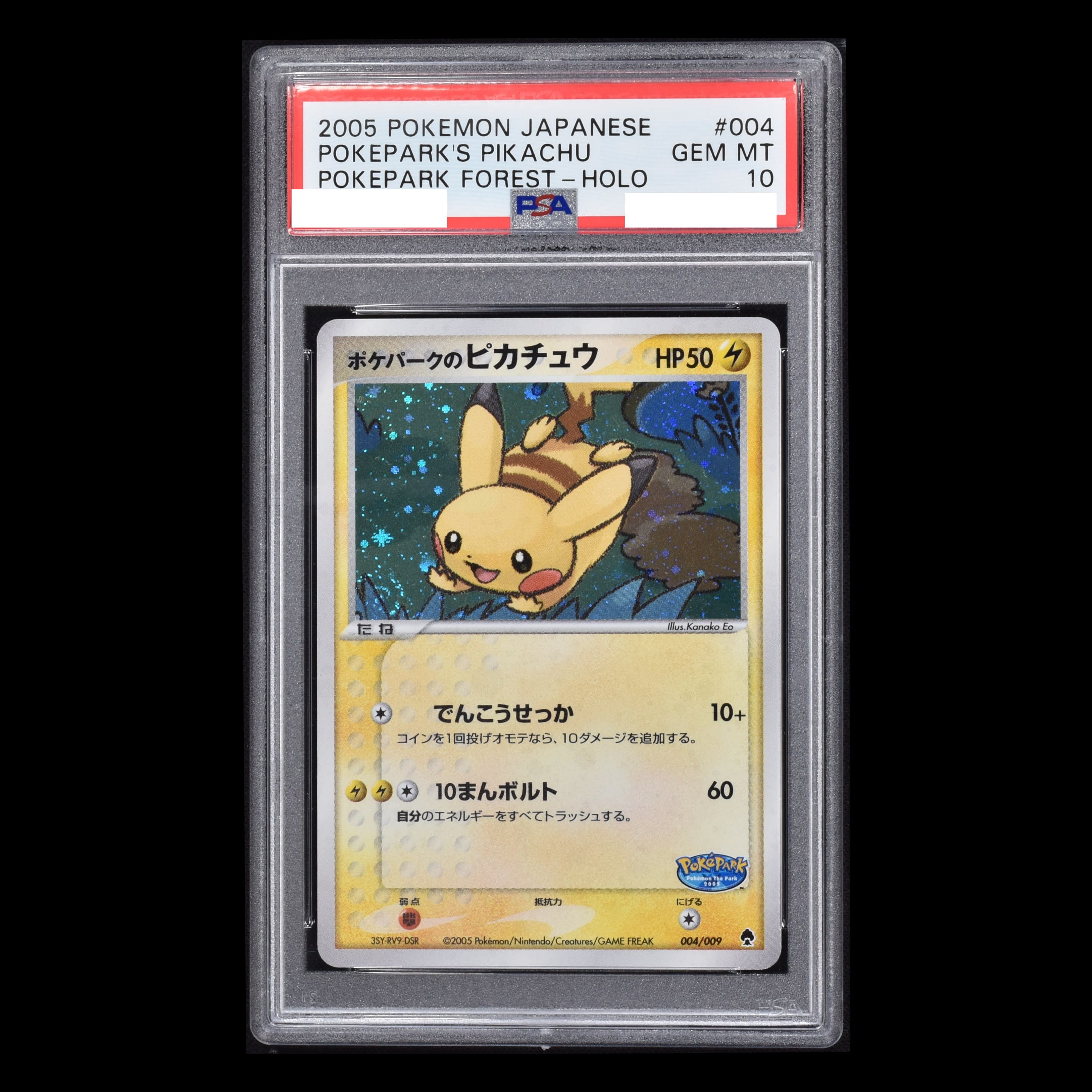 ☆決算特価商品☆ ポケパークのピカチュウ aob.adv.br