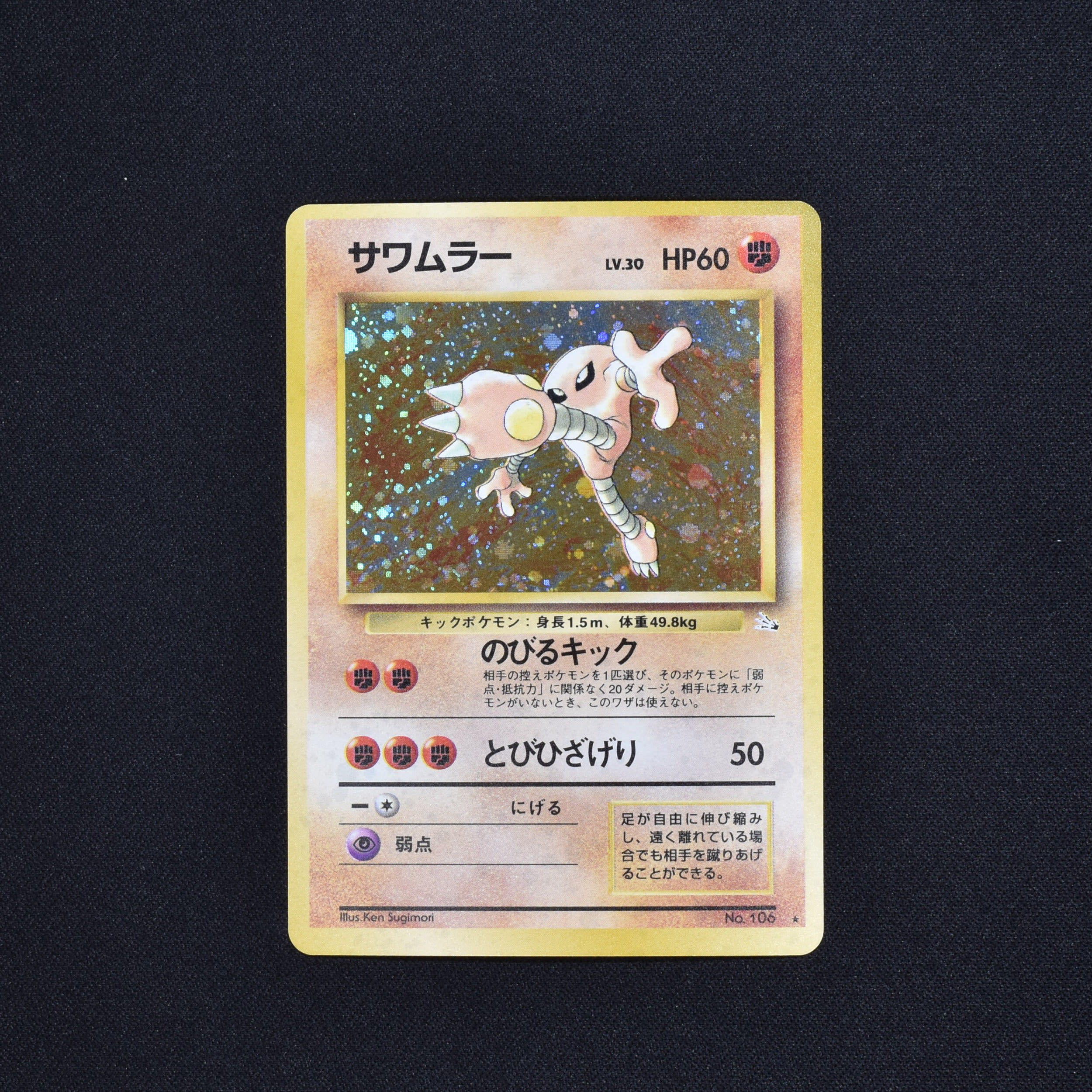 高価値 ポケモンカードサワムラー おもちゃ ぬいぐるみ Www Cecop Gob Mx 高価値 ポケモンカードサワムラー おもちゃ ぬいぐるみ Www Cecop Gob Mx