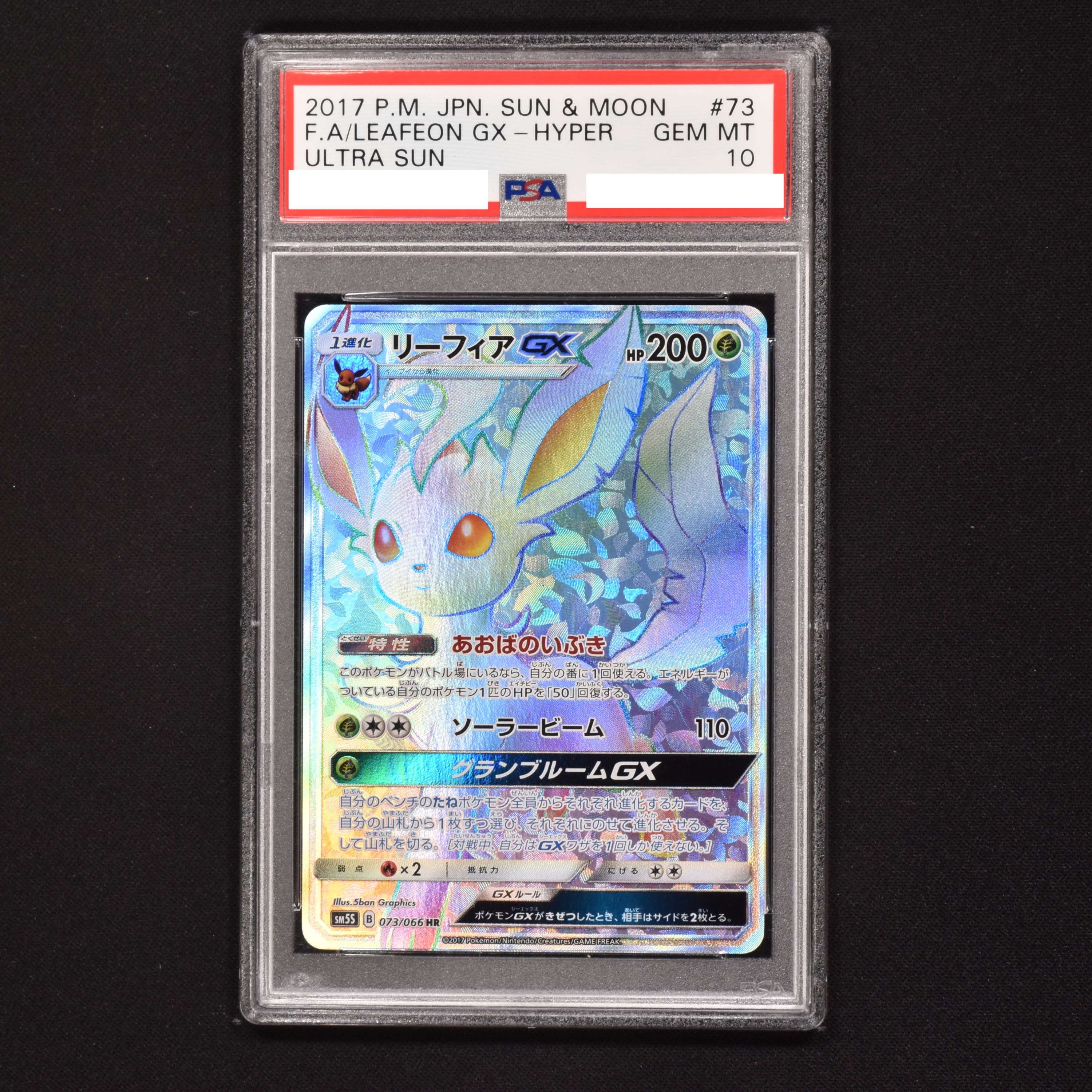 Psa10 リーフィアgx Hr Whirledpies Com