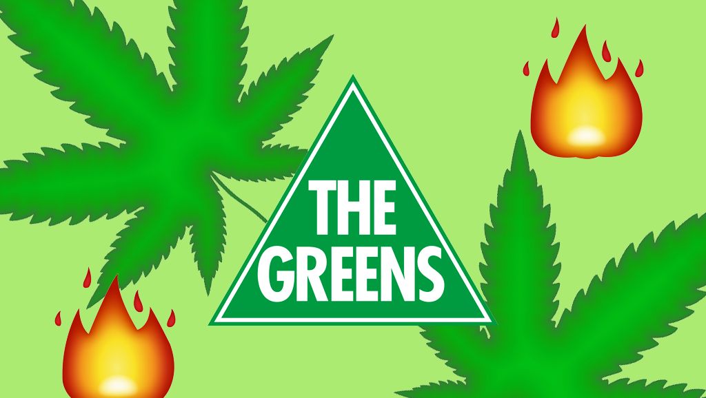 Anti-vaxxers have infected the Greens, senator warns
