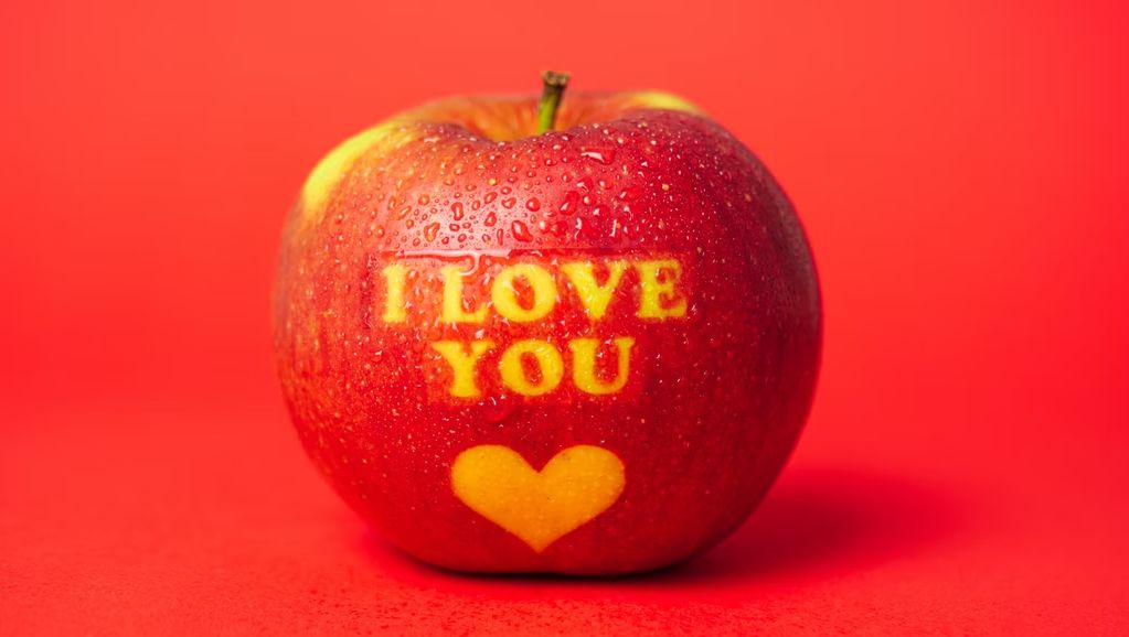 Bright hearts, healthy bodies today? How do you understand how the heart works?
