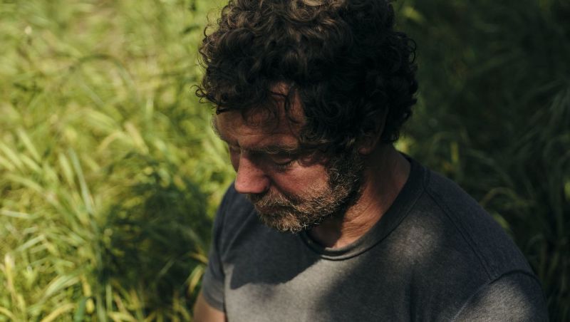 Lawyer Lost in Delusion Doesn't See It That Way