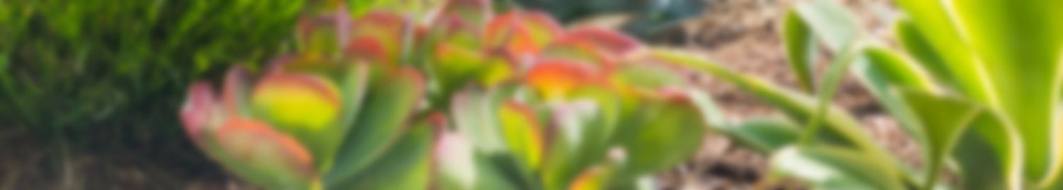 Title at Koll Center Newport - 4400 MacArthur Boulevard