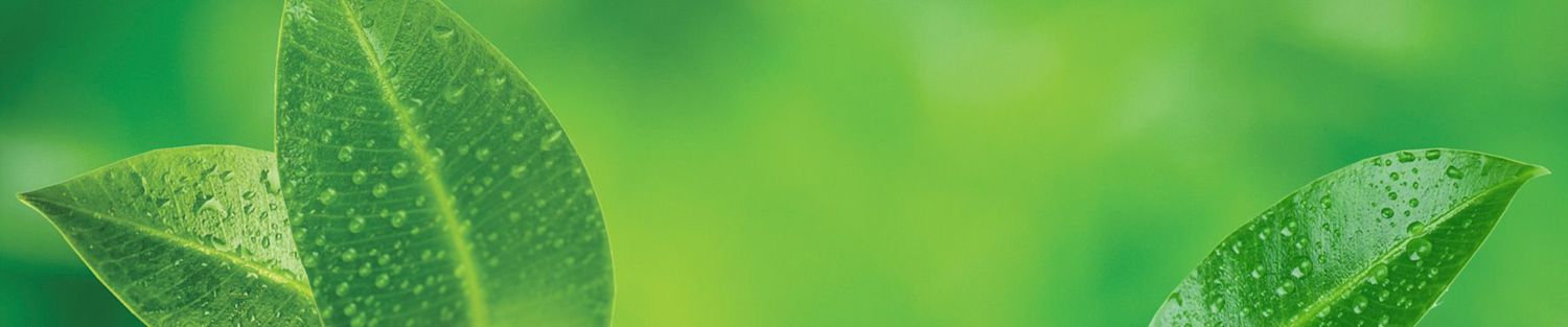 Title at 235 Pine Street