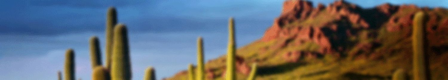 Title at Phoenix Plaza - 2901-2929 North Central Avenue