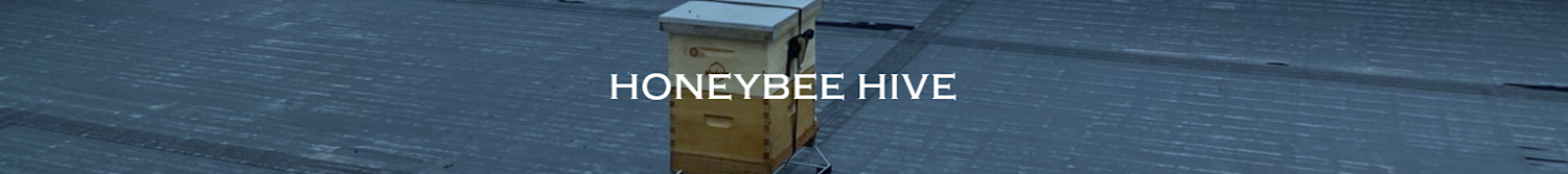 Title at Gateway Center - 420 Fort Duquesne Boulevard