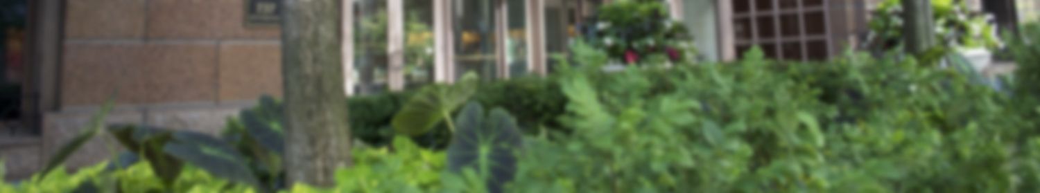 Title at Olympia Center - 737 North Michigan Avenue