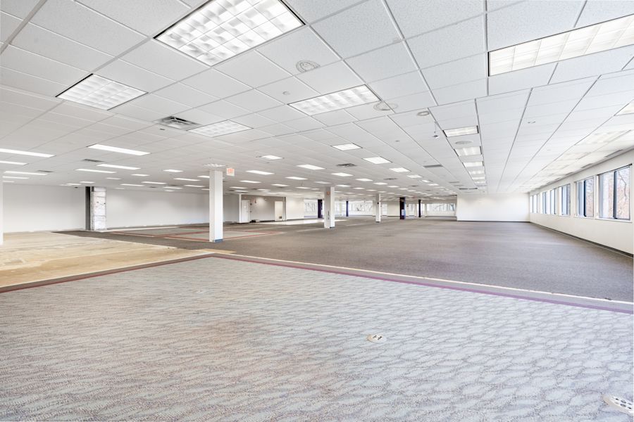 Main Area 1