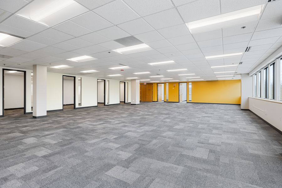 Main Area 1