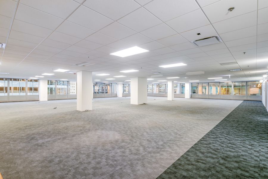 Main area 1