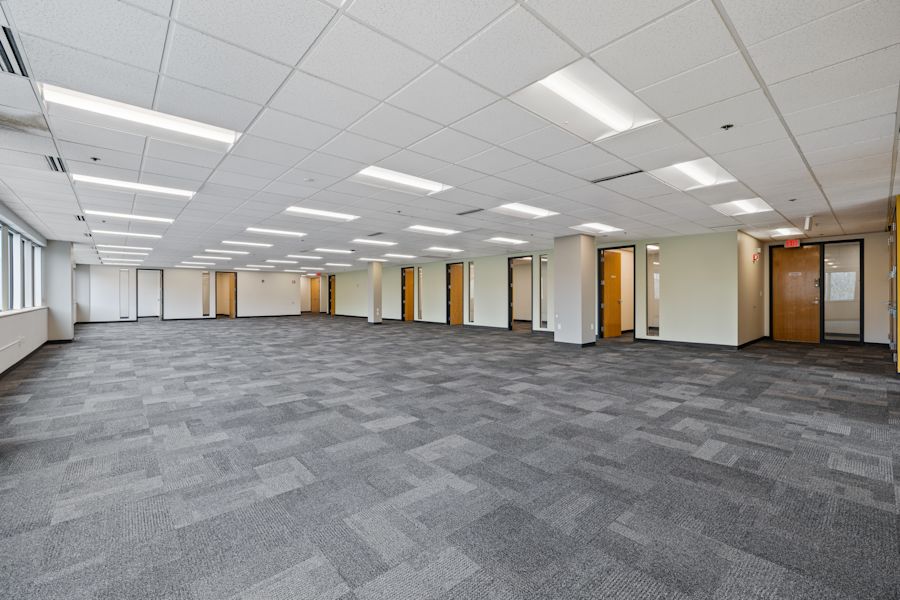 Main Area 1