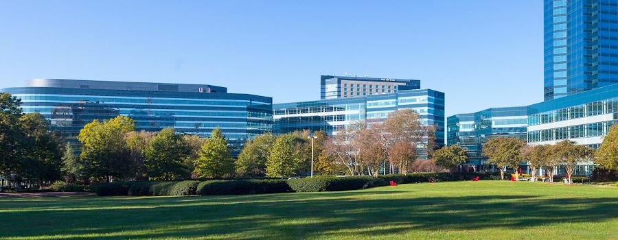 The Collective at Concourse - 1 Concourse Parkway