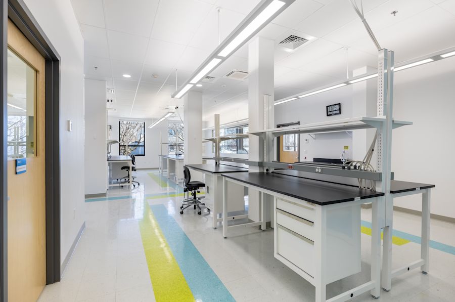 Lab