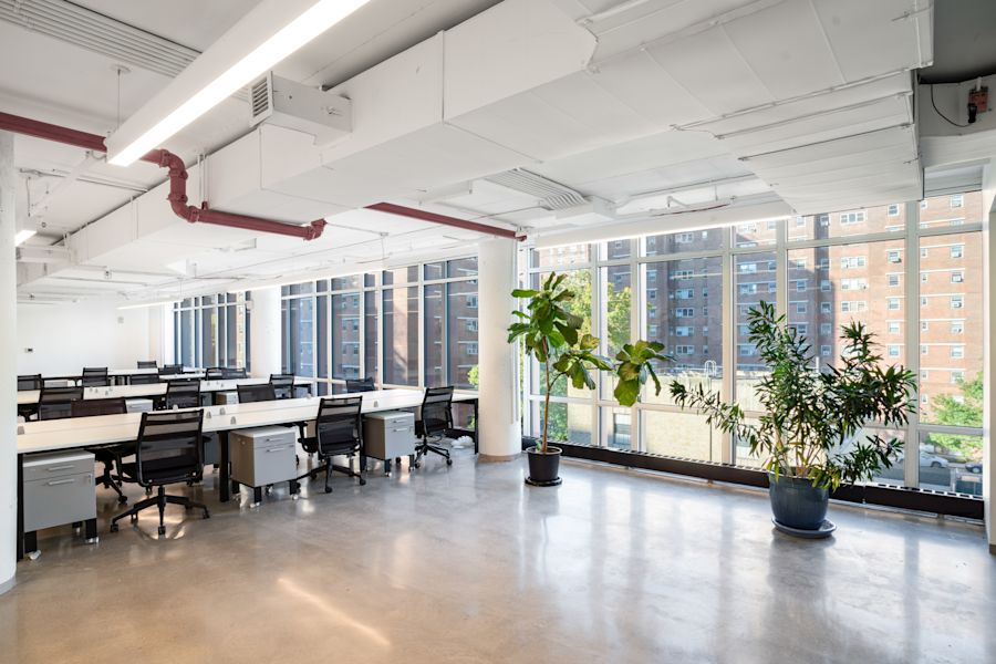 Main Area