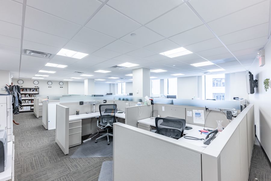 Main Area