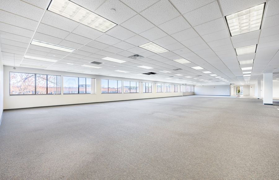 Main Area 1