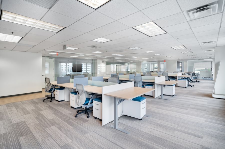 Main Area 1
